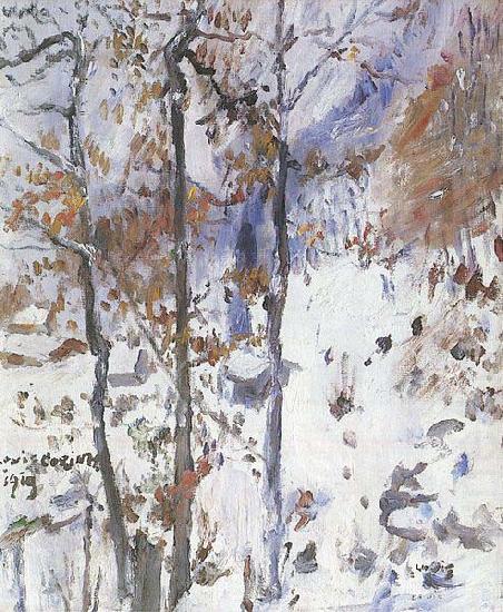 Lovis Corinth Walchensee, Schneelandschaft china oil painting image